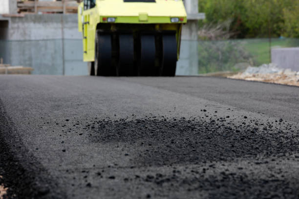 Best Professional Driveway Pavers  in Wallace, NC