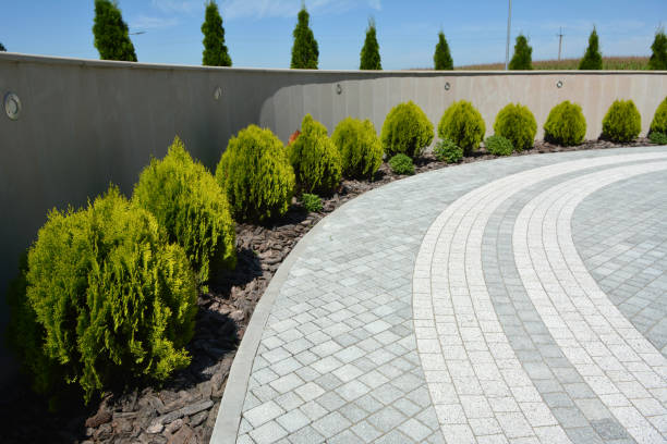 Best Driveway Paving Company  in Wallace, NC